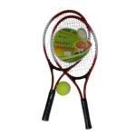 RAQUETA TENIS ESTUCHE X2 GYC202407-147