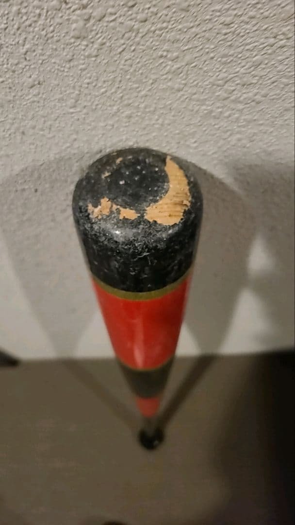 MIZUNO Training Bat 1kg