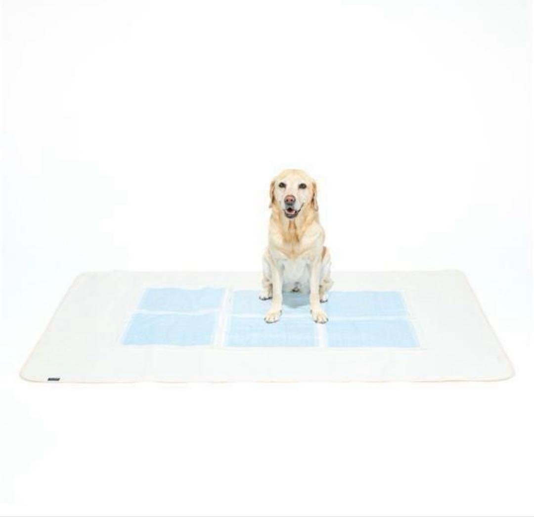 HappyDays Washable Deodorizing Waterproof Sheet L Size